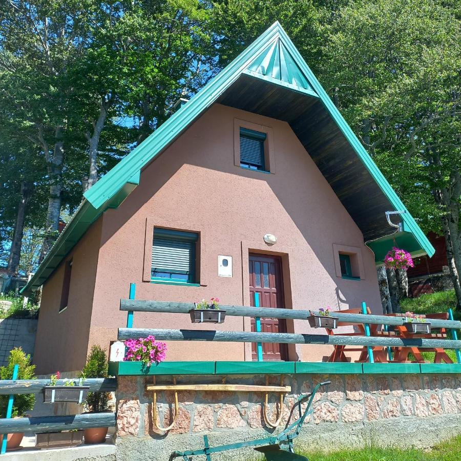 Vila Darija Žabljak Esterno foto