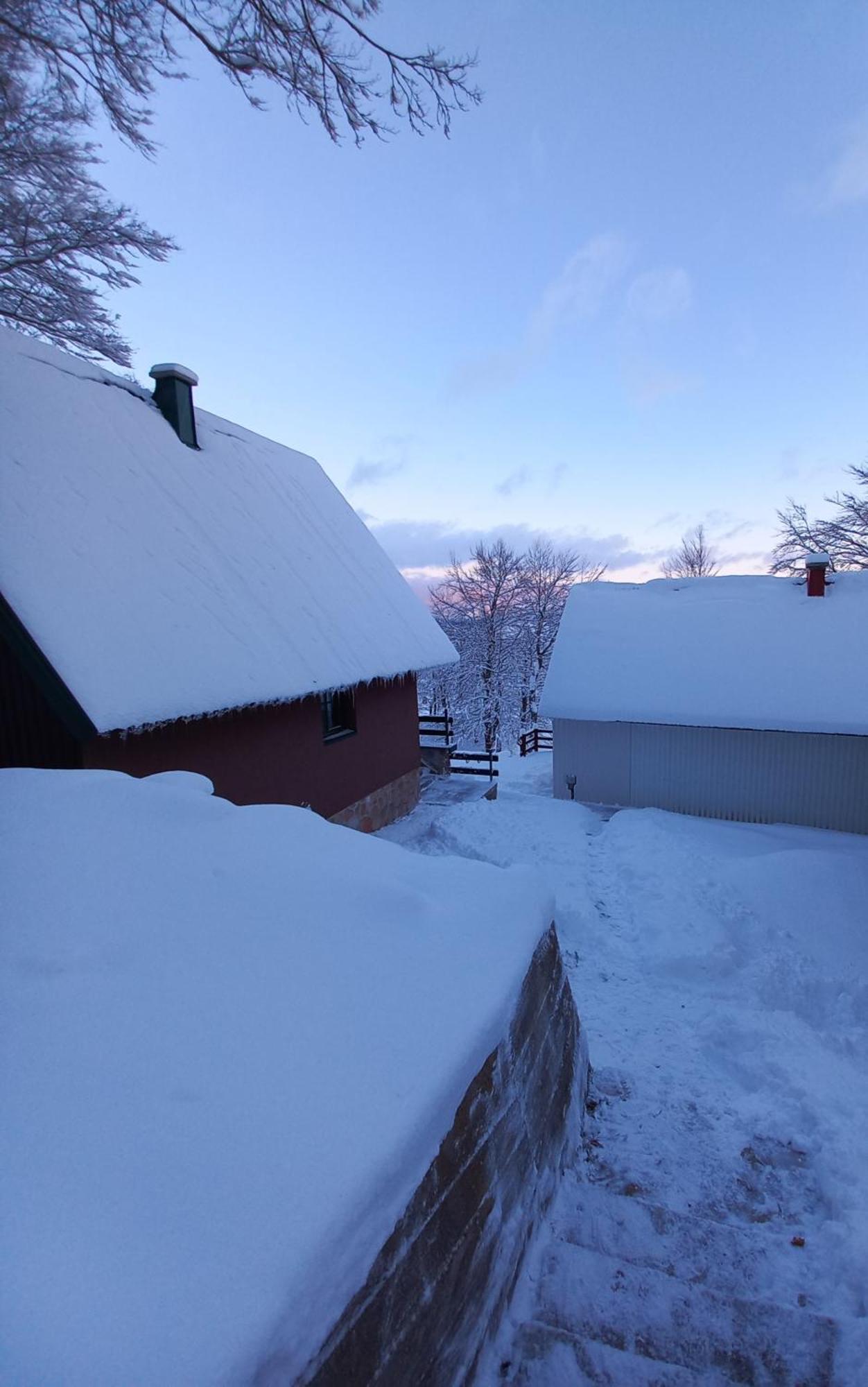 Vila Darija Žabljak Esterno foto